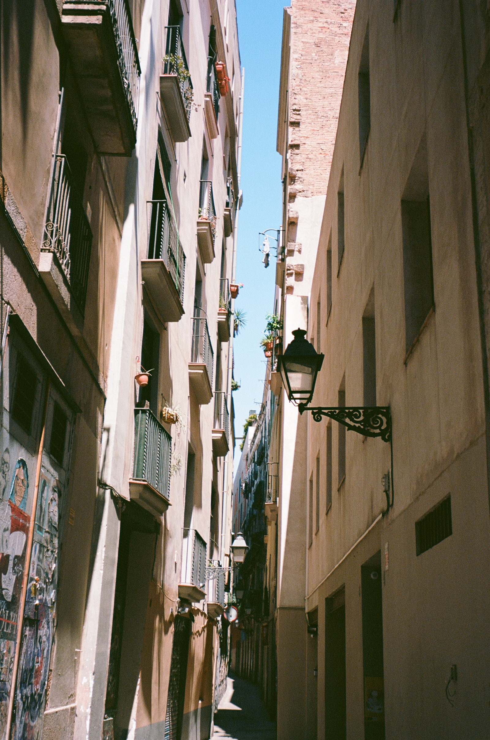 A narrow alley in the Gothic Quarter of Barcelona, an ornate iron lantern in silhouette on the right, balconies and potted plants running up the left wall above pasted posters and graffiti.