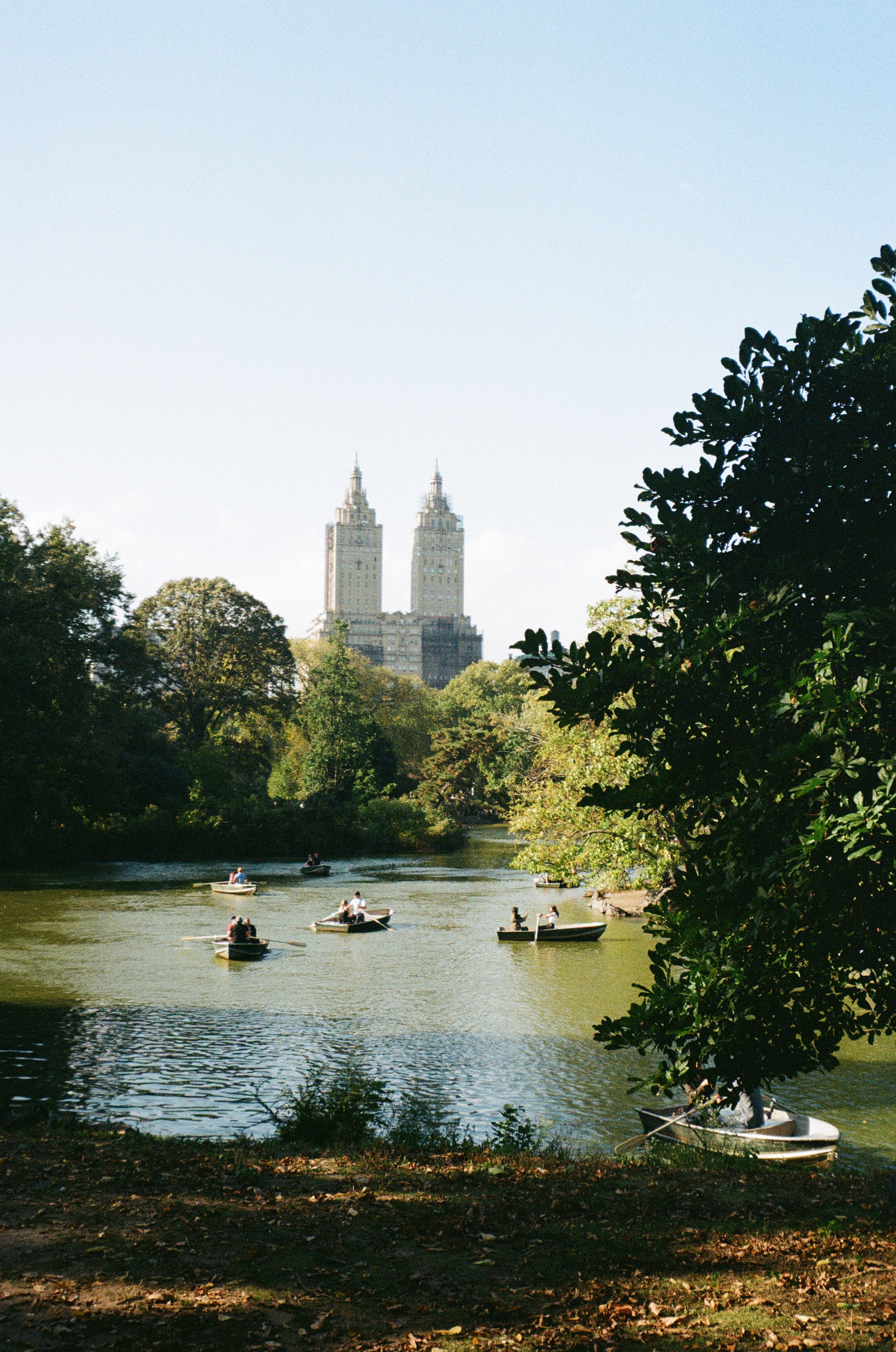Rowboats scattered across the lake in Central Park in early autumn light, the twin towers of the San Remo rising above the treeline beyond, with a large oak in deep shadow filling the right of the frame.