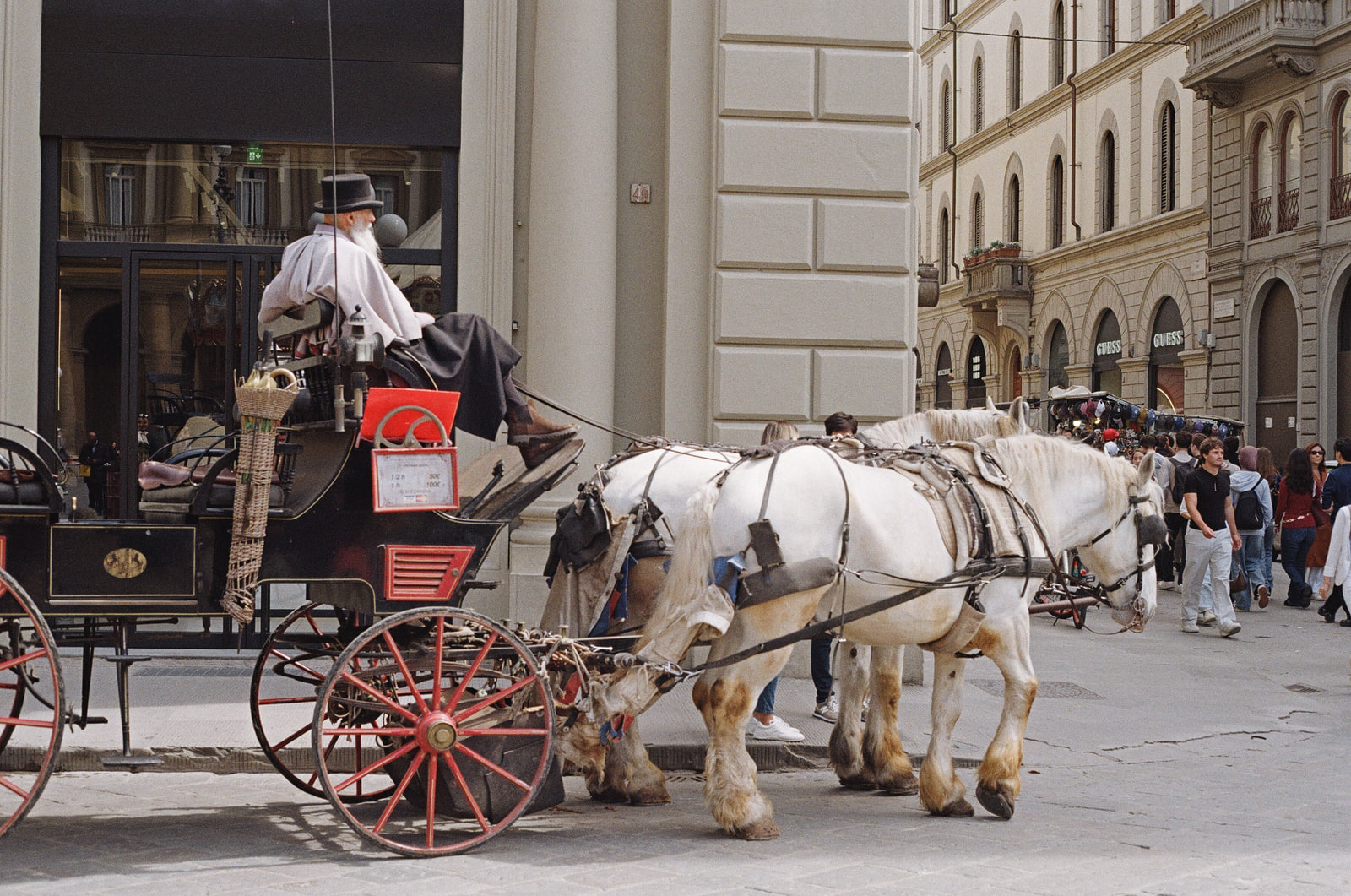 Two white draught horses harnessed to a black carriage with red wheels on a Florence street, a bearded driver in a top hat and cape seated above them with his boot on the rail, and a Guess storefront behind.
